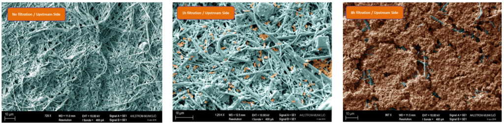 Microscopic images comparing filtration effectiveness: no filtration, 1-hour filtration, and 8-hour filtration, showcasing Pure Clear Filters' advanced technology and contaminant retention capabilities.