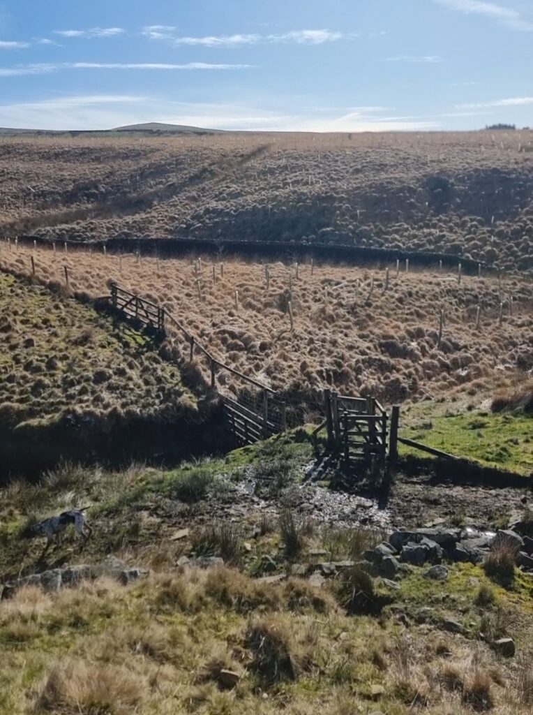 Bridge crossing over a stream in a grassy landscape, with rolling hills under a clear blue sky, suitable for family hikes in natural settings like Anglezarke Moor and Pendle Hill.